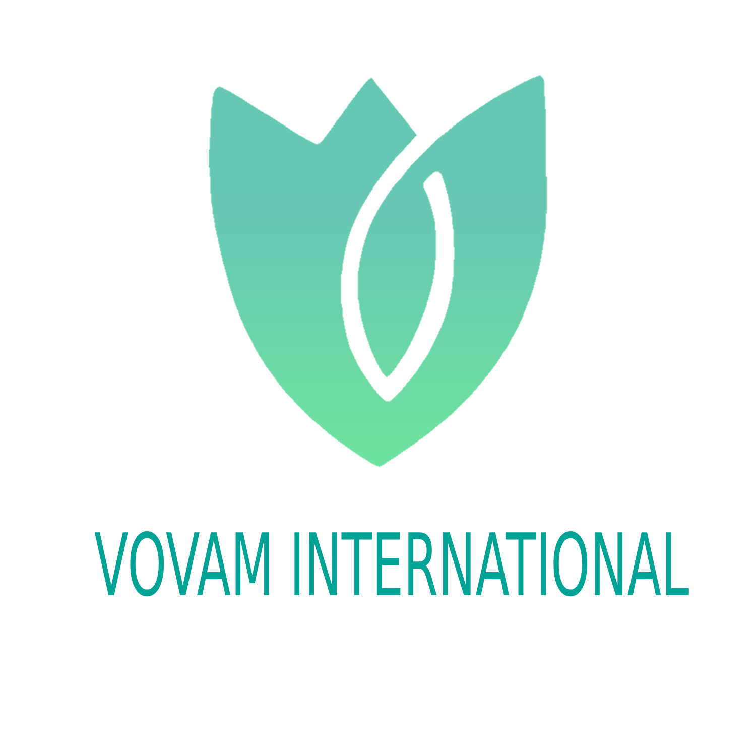 vovam International